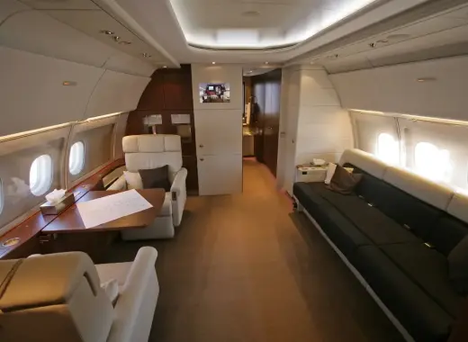 Airbus A318 Elite