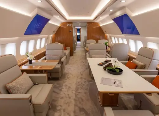 Airbus A319 Corporate Jet
