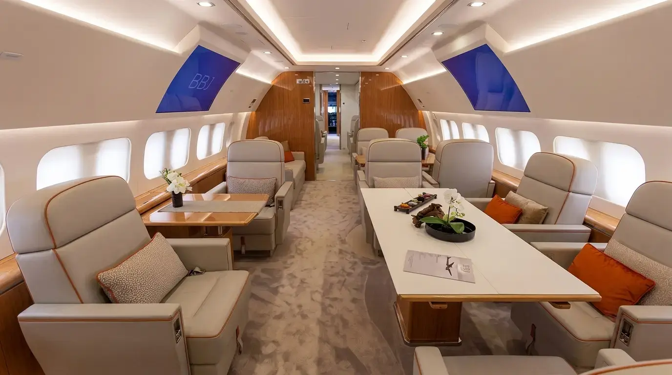 Airbus A319 Corporate Jet
