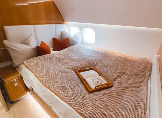 Airbus A319 Corporate Jet