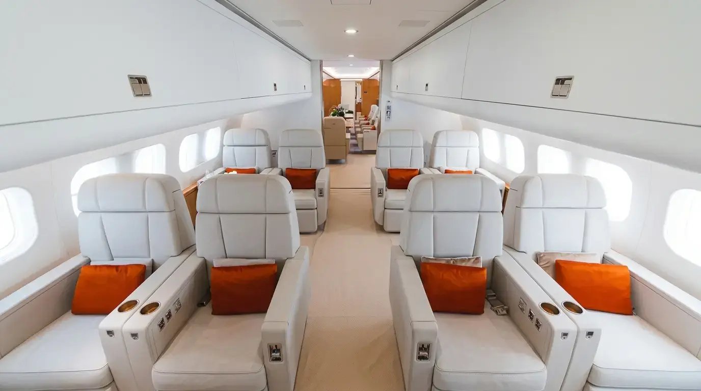 Airbus A319 Corporate Jet